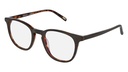 Lentes Optical Frames INVU, Matt Brown/Demi, B4908C