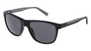 Lentes de Sol INVU B2205C PC Matt Black