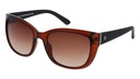 Lente de sol SMARTY  SB22410 Transp. Brown/Matt Black