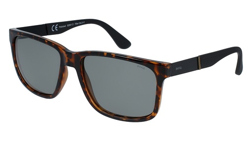 [B2941D] Lente de sol Hombre INVU B2941 Demi/Matt Black, Photochromic